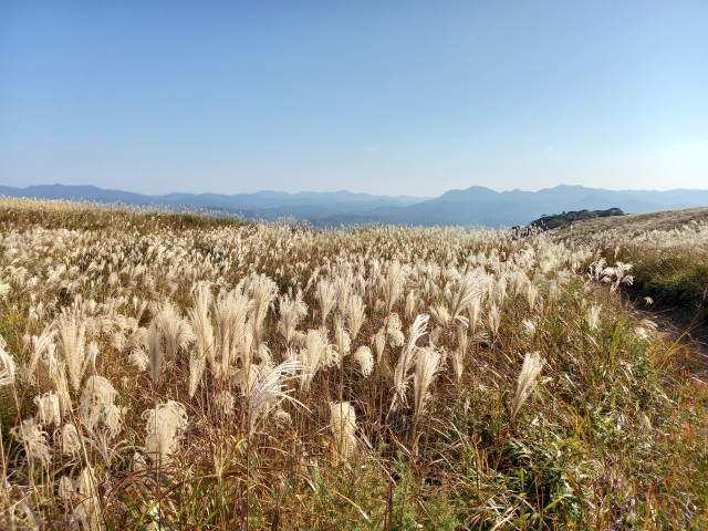 秋吉台・秋