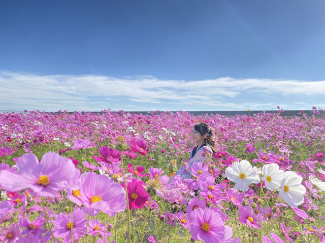 花の海