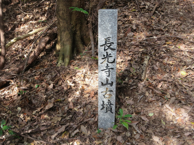 長光寺山古墳