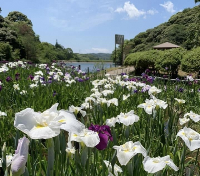 物見山総合公園