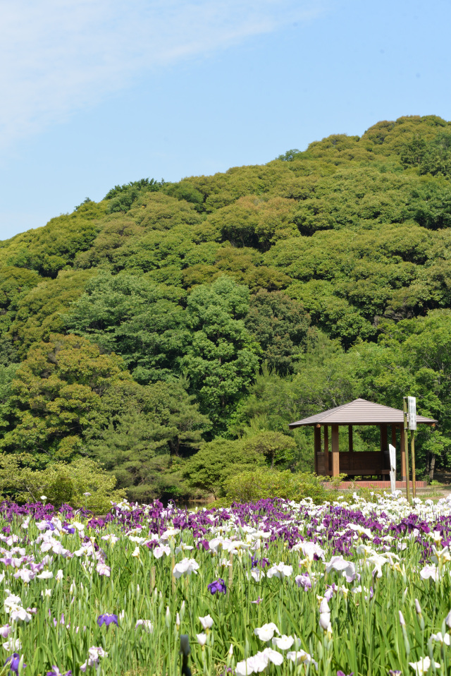 物見山総合公園