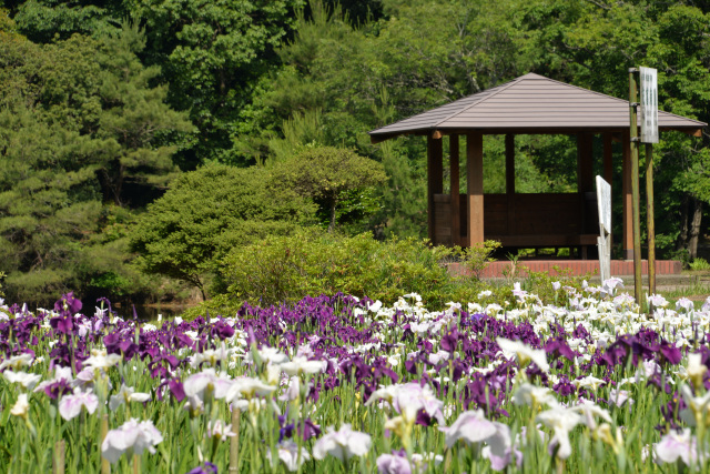 物見山総合公園