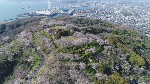 竜王山公園