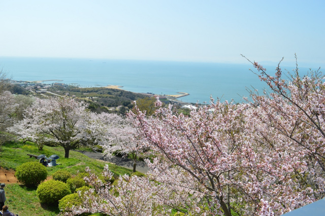 竜王山公園