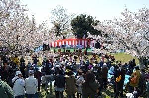 竜王山公園さくらまつり