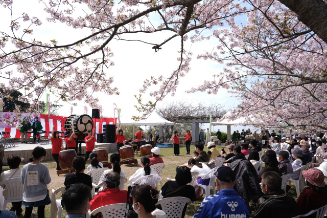 竜王山公園さくらまつり
