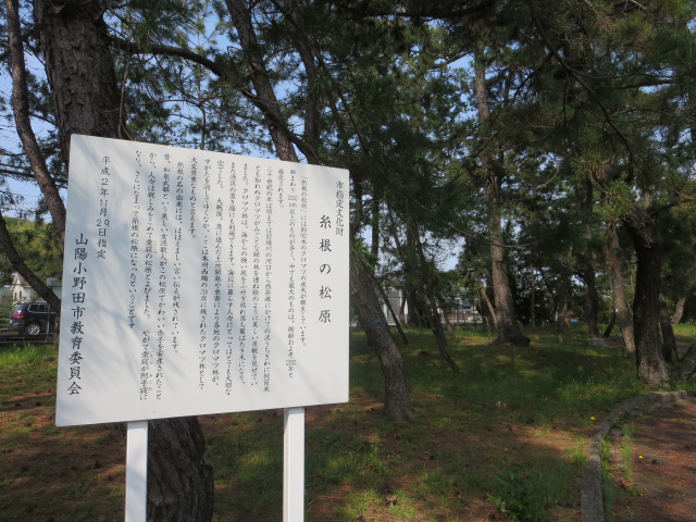 糸根の松原