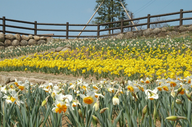 縄地ケ鼻公園