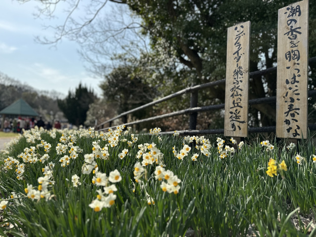 縄地ケ鼻公園