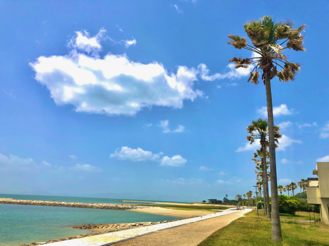 焼野海岸・きららビーチ焼野