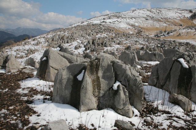 秋吉台・冬