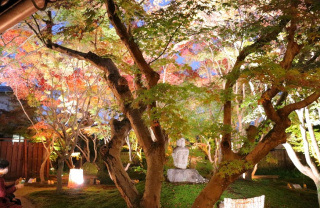 宇野千代生家　紅葉ライトアップ2