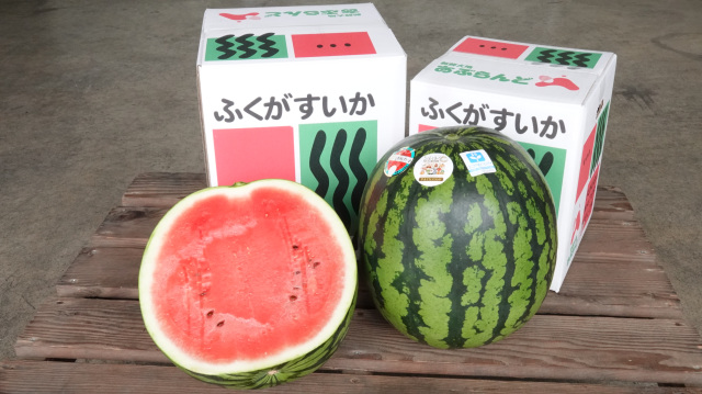 福賀すいか