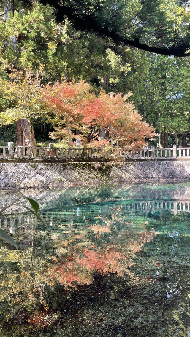 別府弁天池　紅葉
