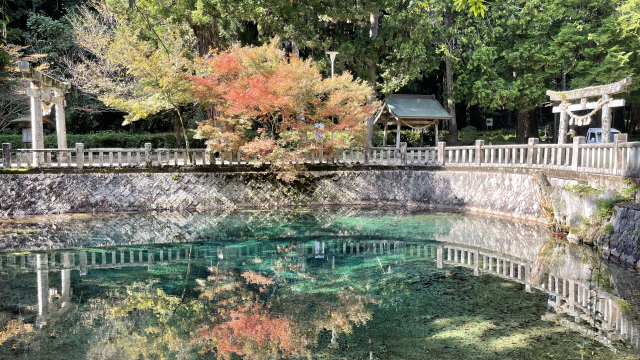 別府弁天池　紅葉
