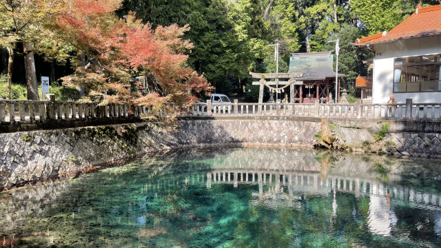 別府弁天池　紅葉