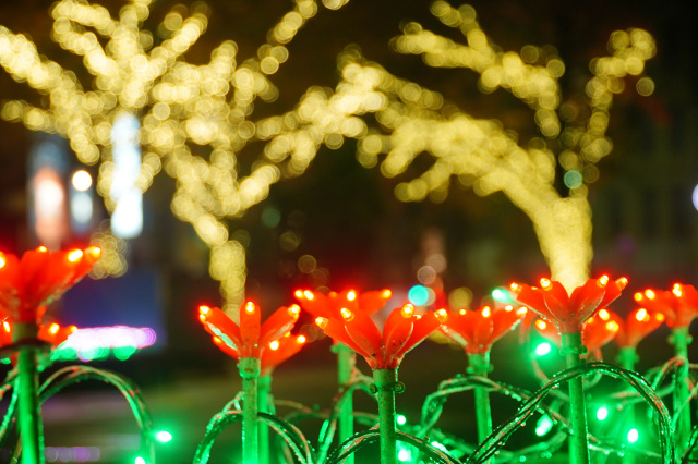 周南冬のツリーまつり