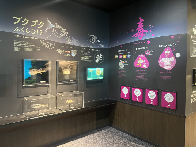 海響館　フグペディア（毒）