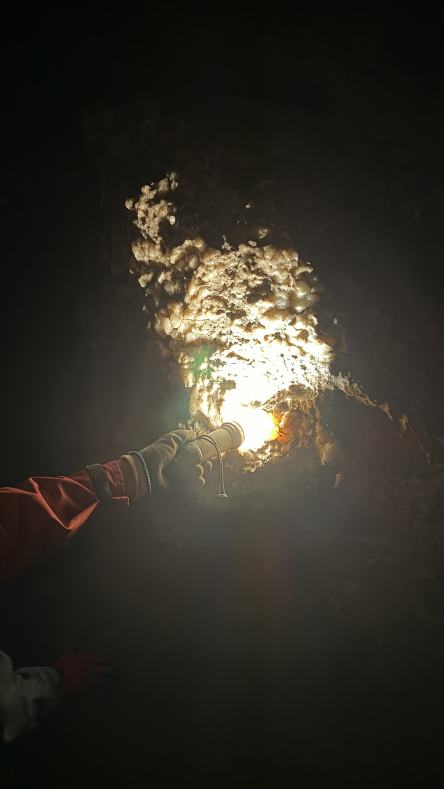 大正洞未公開エリアケイビングツアー