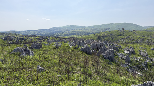 秋吉台