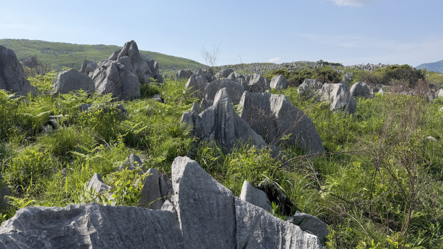 秋吉台