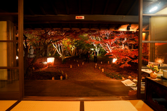 宇野千代生家　紅葉ライトアップ