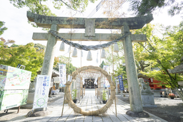 琴崎八幡宮　茅の輪くぐり