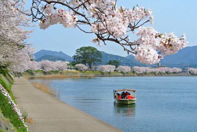 萩八景遊覧船