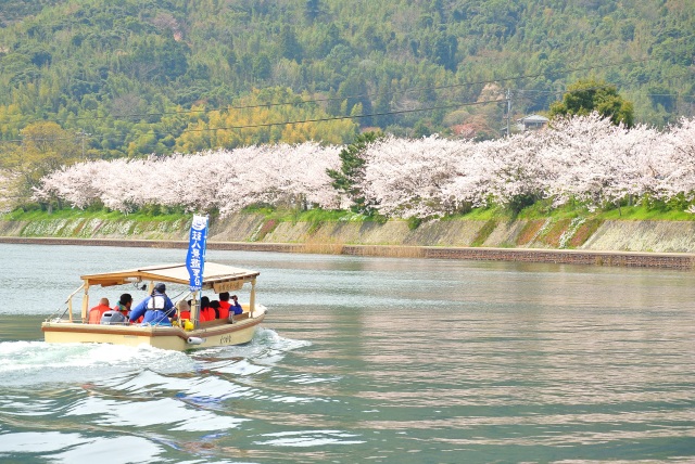 萩八景遊覧船