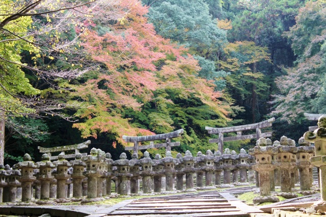 大照院（墓所）