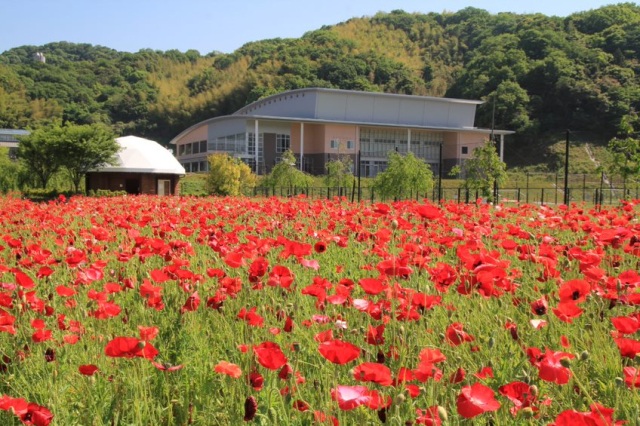 下松スポーツ公園