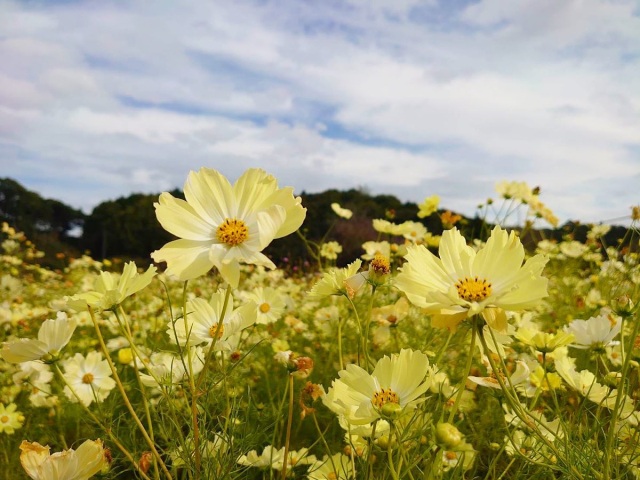 下松スポーツ公園