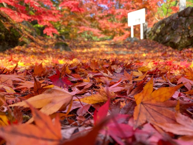 米川旧内藤家庭園