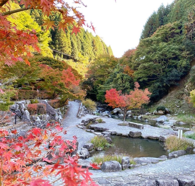 滝の口河川公園