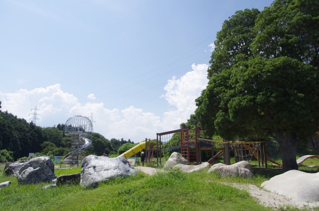 蜂ヶ峯総合公園　アスレチック