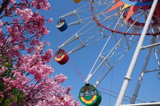 蜂ヶ峯総合公園