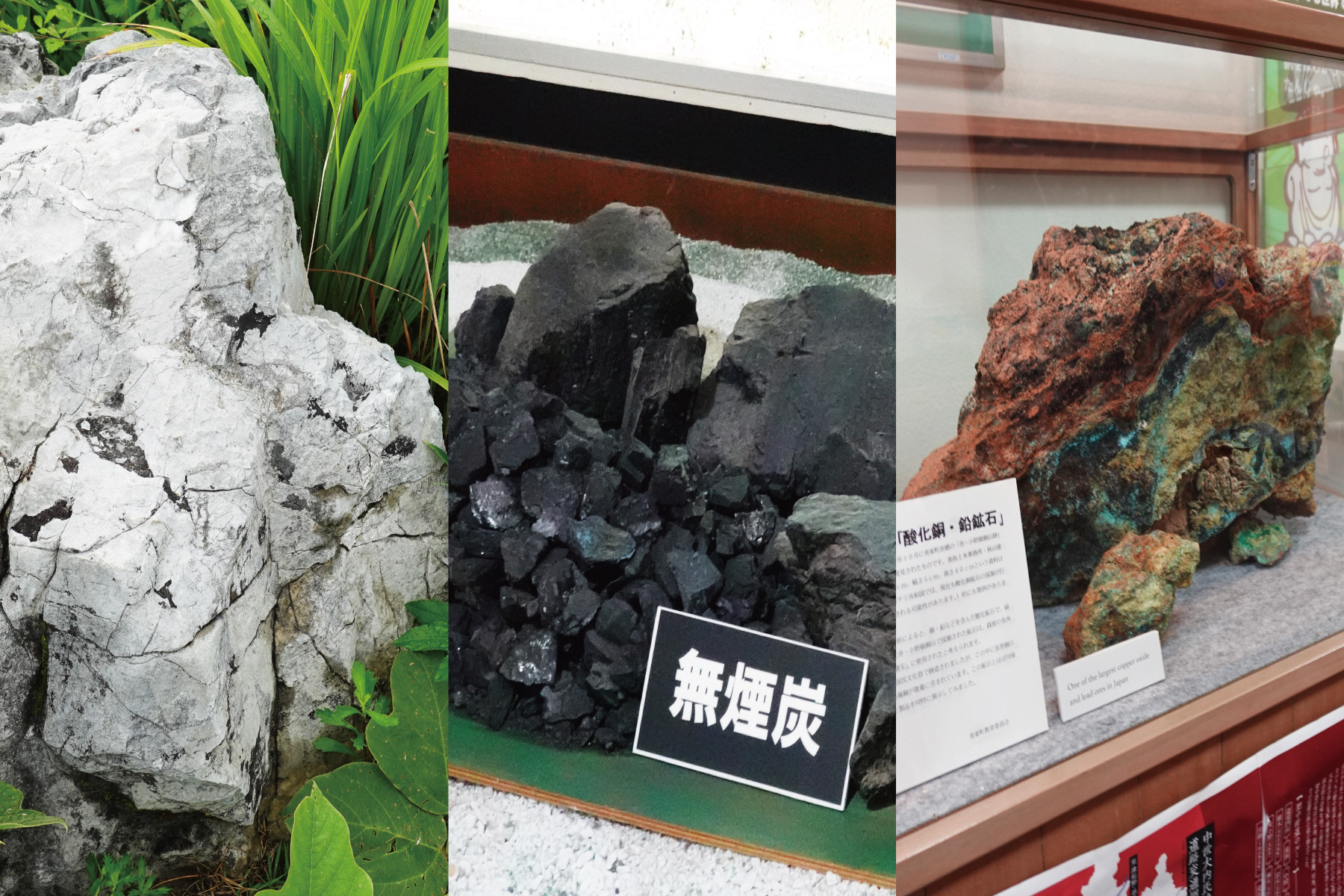 Mine秋吉台ジオパークとは？白・黒・赤の大地と、世界が認めた地域の力［PR］