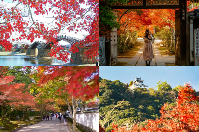 【岩国市】錦帯橋紅葉ガイド2026「徒歩で行ける紅葉名所4選」遊覧船・グルメ・駐車場情報まで