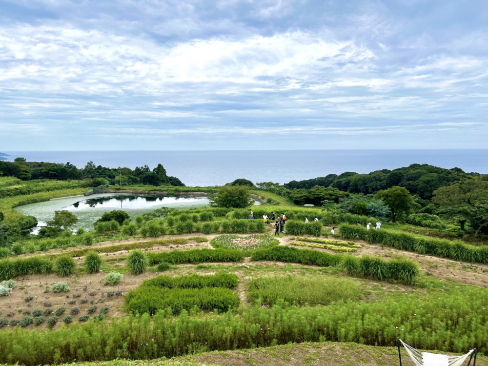 長門市「棚田の花段」のハーブを使用