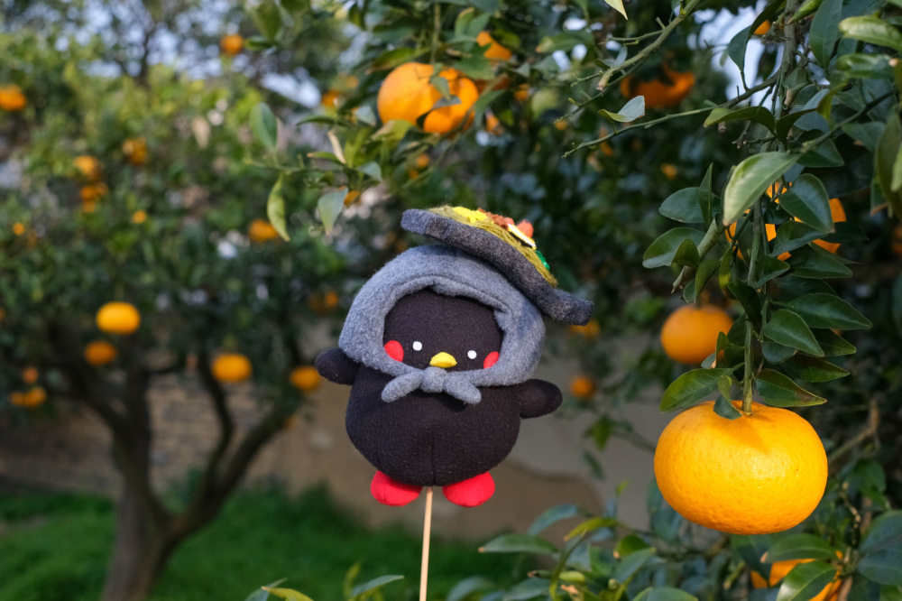 地元ライターが行ってみた!