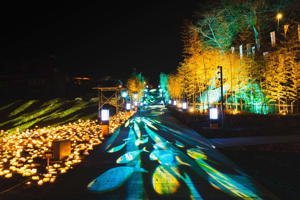 キャンペーン期間中　大人気ライトアップイベント