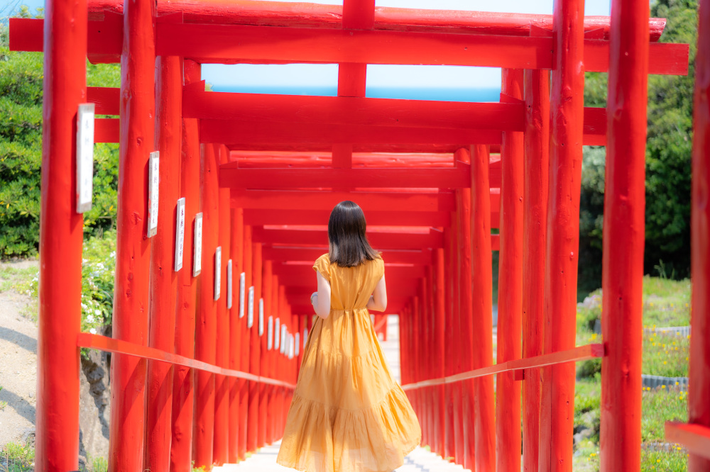 長門の見どころ・楽しみどころ