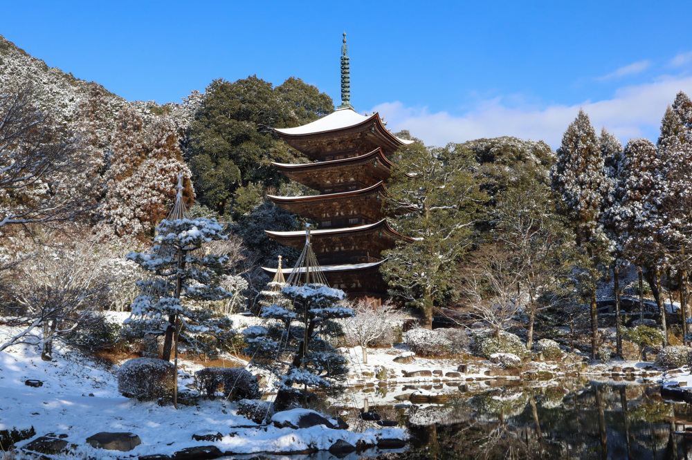 専門家のおすすめは「冬」の瑠璃光寺五重塔