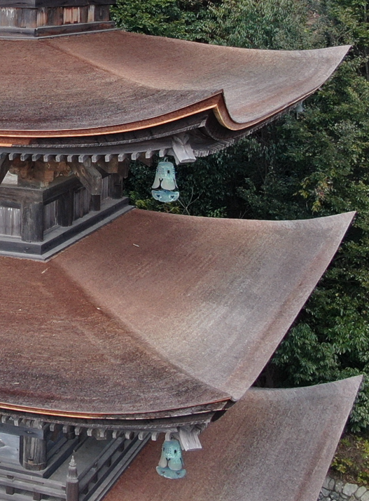 大正時代の檜皮葺きが今も残っている!