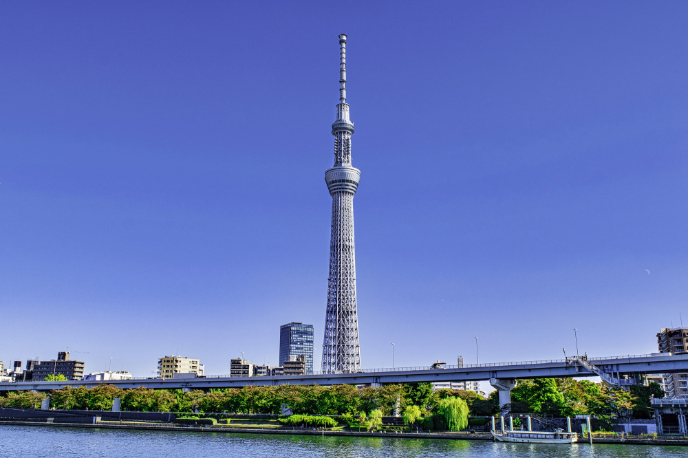 スカイツリーにも受け継がれる“心柱”