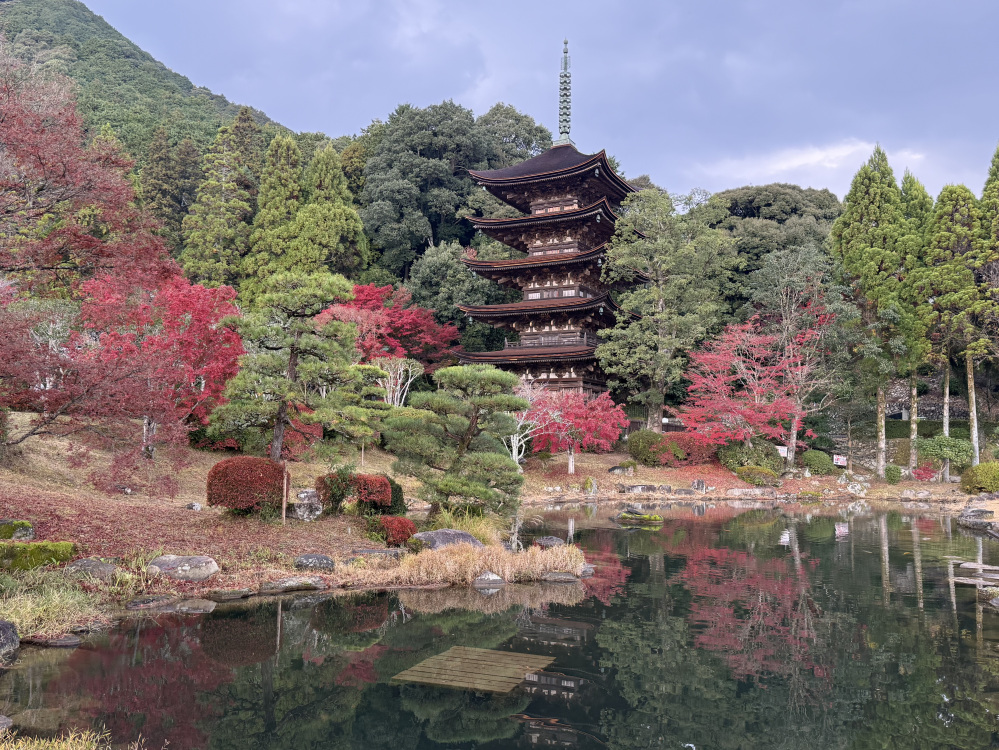 逆さ瑠璃光寺五重塔が見られるかも!?