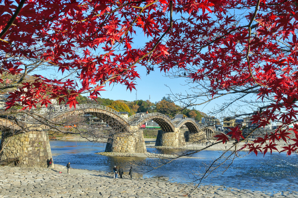 秋の錦帯橋