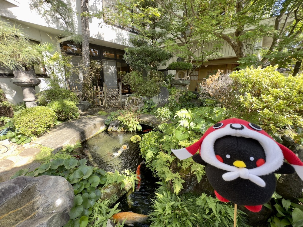 ランチの後は半月庵の日本庭園を楽しもう