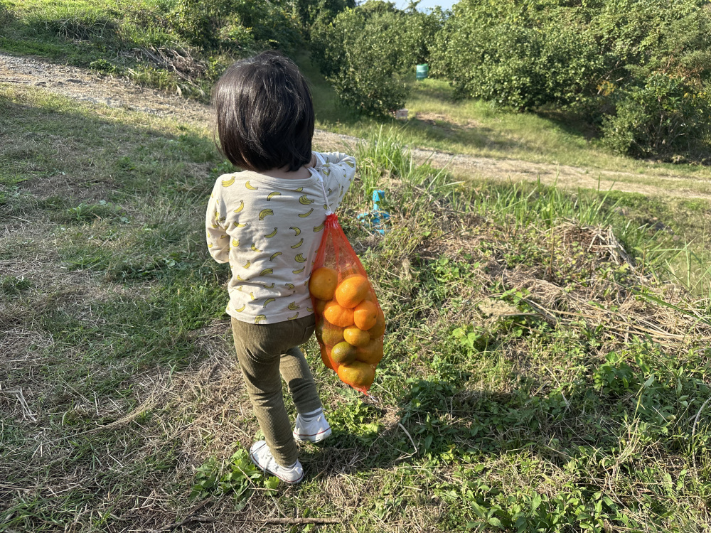 子供も楽しめる♪秋穂のおでかけ情報