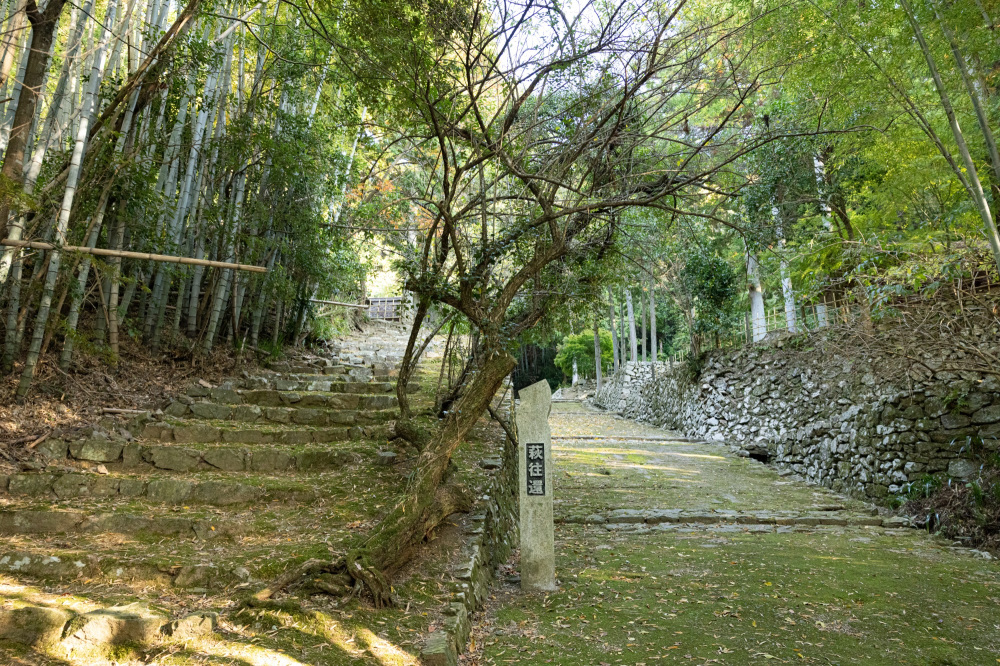 江戸時代の街道「萩往還」の魅力とは？